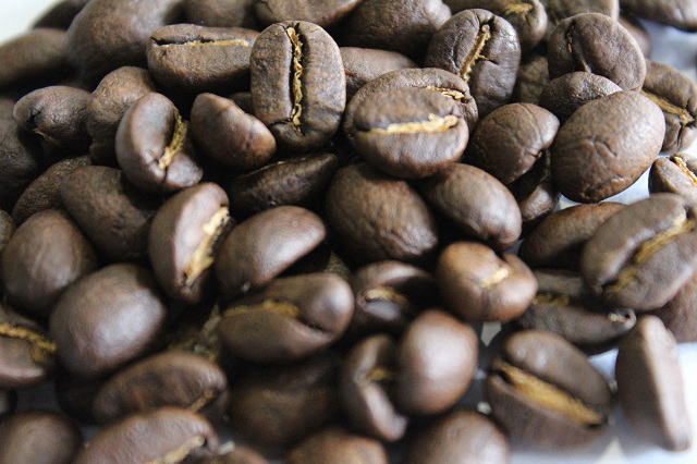 コーヒー豆　ニカラグア・エル・ボスケの写真