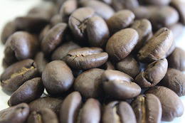 コーヒー豆　エルサルバドル（温泉珈琲）の写真