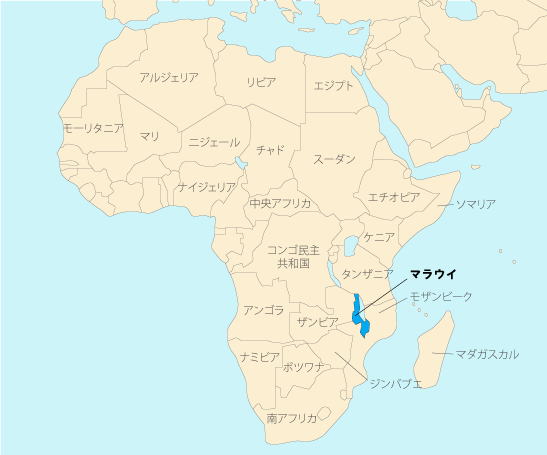 コーヒー豆　ニカラグア・エル・ボスケの写真