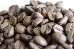コーヒー豆　エメラルドマウンテンの写真