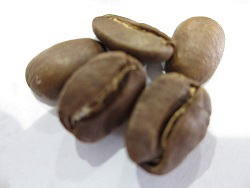 コーヒー豆　ブルーマウンテンNo.1の拡大写真