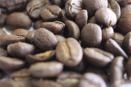 コーヒー豆　タンザニアキボーの拡大写真