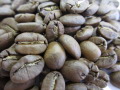 コーヒー豆　キューバ・クリスタルマウンテンの写真