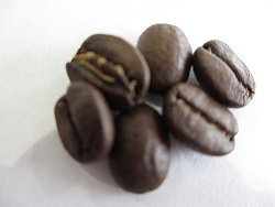 コーヒー豆　グァテマラ・アンティグアの拡大写真
