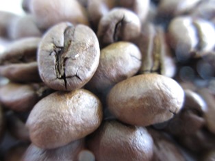 コーヒー豆エチオピア・グジの拡大写真