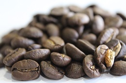 コーヒー豆　タンザニア・キボ―の写真