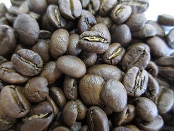 コスタリカ　豆の写真