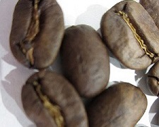 コーヒー豆　マンデリン・シボルガの拡大写真