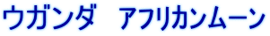ウガンダ　ｱﾌﾘｶﾝﾑｰﾝ