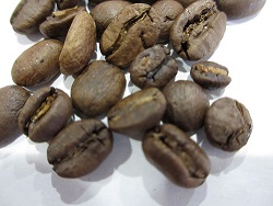 コーヒー豆　イエメン・モカ・マタリの拡大写真