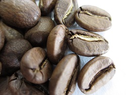 コーヒー豆　メキシコ・アルツラの拡大写真