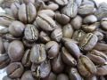 コーヒー豆 メキシコ・アルツラの写真