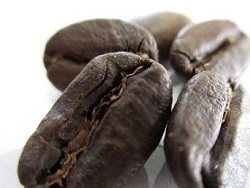コーヒー豆　ペルー・チャンチャマイヨの拡大写真