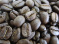 コーヒー豆　ペルー・チャンチャマイヨの写真
