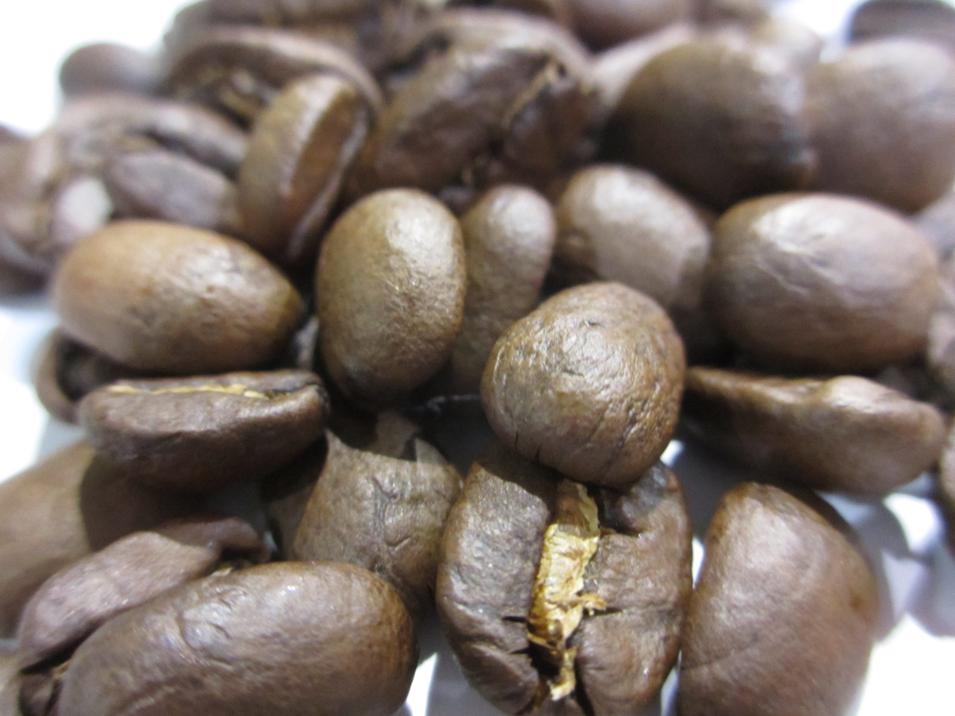 コーヒー豆　エルサルバドルレッドハニーの拡大写真