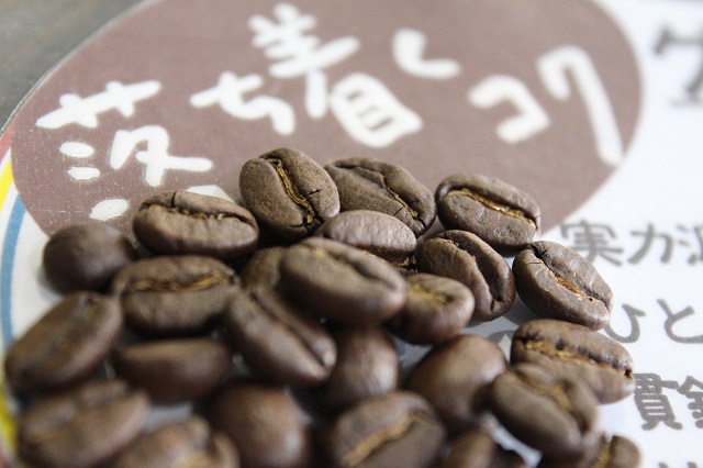 グァテマラ サンタバーバラ コーヒー豆 グァテマラ サンタバーバラ