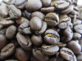コーヒー豆 エルサルバドルの写真