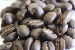 コーヒー豆 エルサルバドル(温泉珈琲) コーヒー豆 エルサルバドル(温泉珈琲)