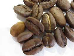 コーヒー豆　エチオピア・モカ・シダモの拡大写真