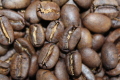 コーヒー豆　トラジャの写真